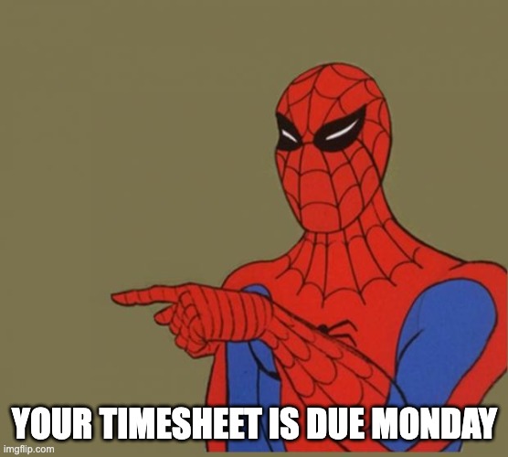 81 Your timesheet is due Monday meme