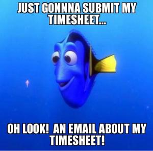 timesheet-meme 15