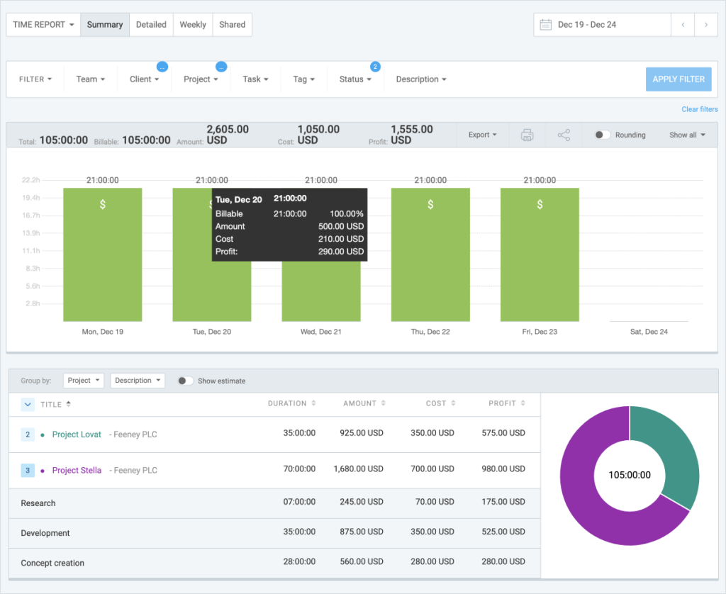 A summary report showing filtered information about the project and team.