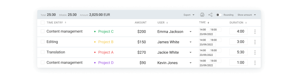 Detailed report showing recorded time entries with all detailed - user, project, duration, amount, and custom fields